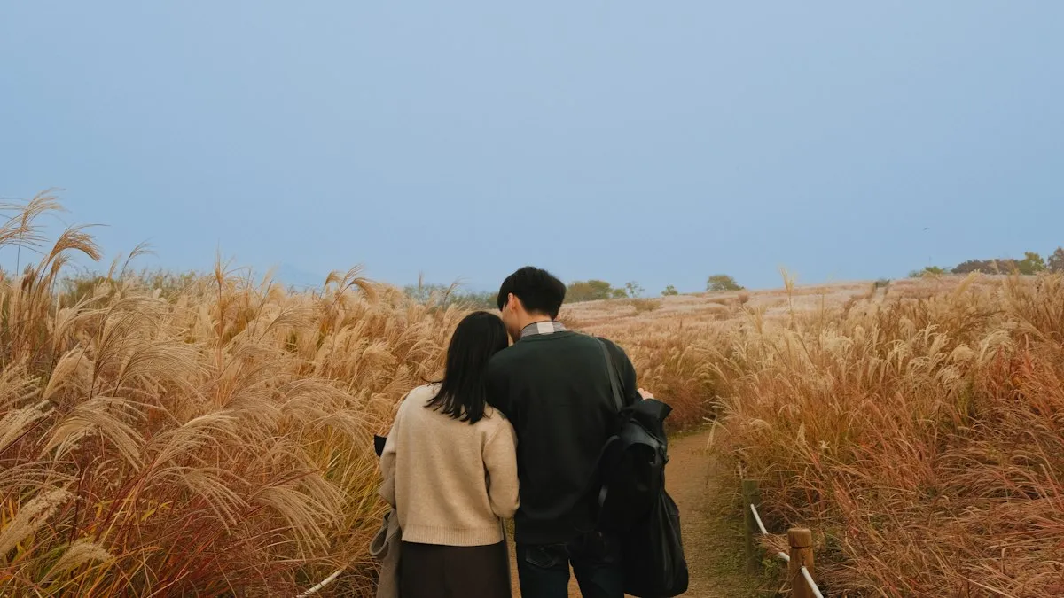 억새길을 걷는 방문객 뒷모습과 길 폭의 경관. 자신의 방문 후기나 올해 인파가 아니다.